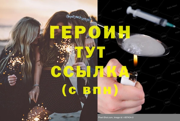прущие грибы Новый Уренгой