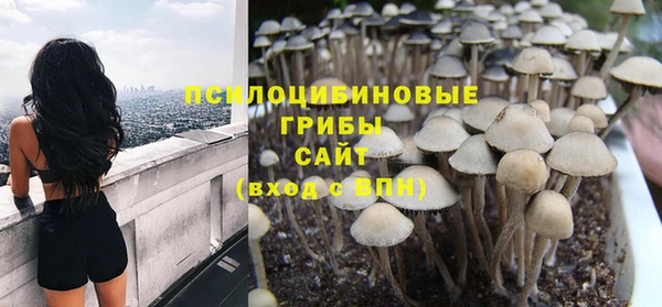 ГАЛЛЮЦИНОГЕННЫЕ ГРИБЫ Краснотурьинск
