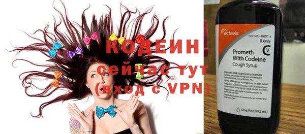 прущие грибы Новый Уренгой
